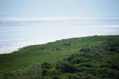 MDW00421-ameland